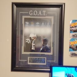 Brady Champion Picture 