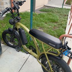 KASEN KABBIT 2.0 PLUS 1000W OFF ROAD & COMMUTER  ELECTRIC BIKE 