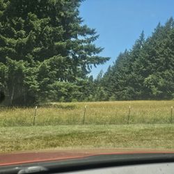 2025 Grass Hay 