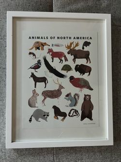 Animals of North America Framed Art Print