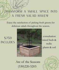 Kitchen Garden Set Up