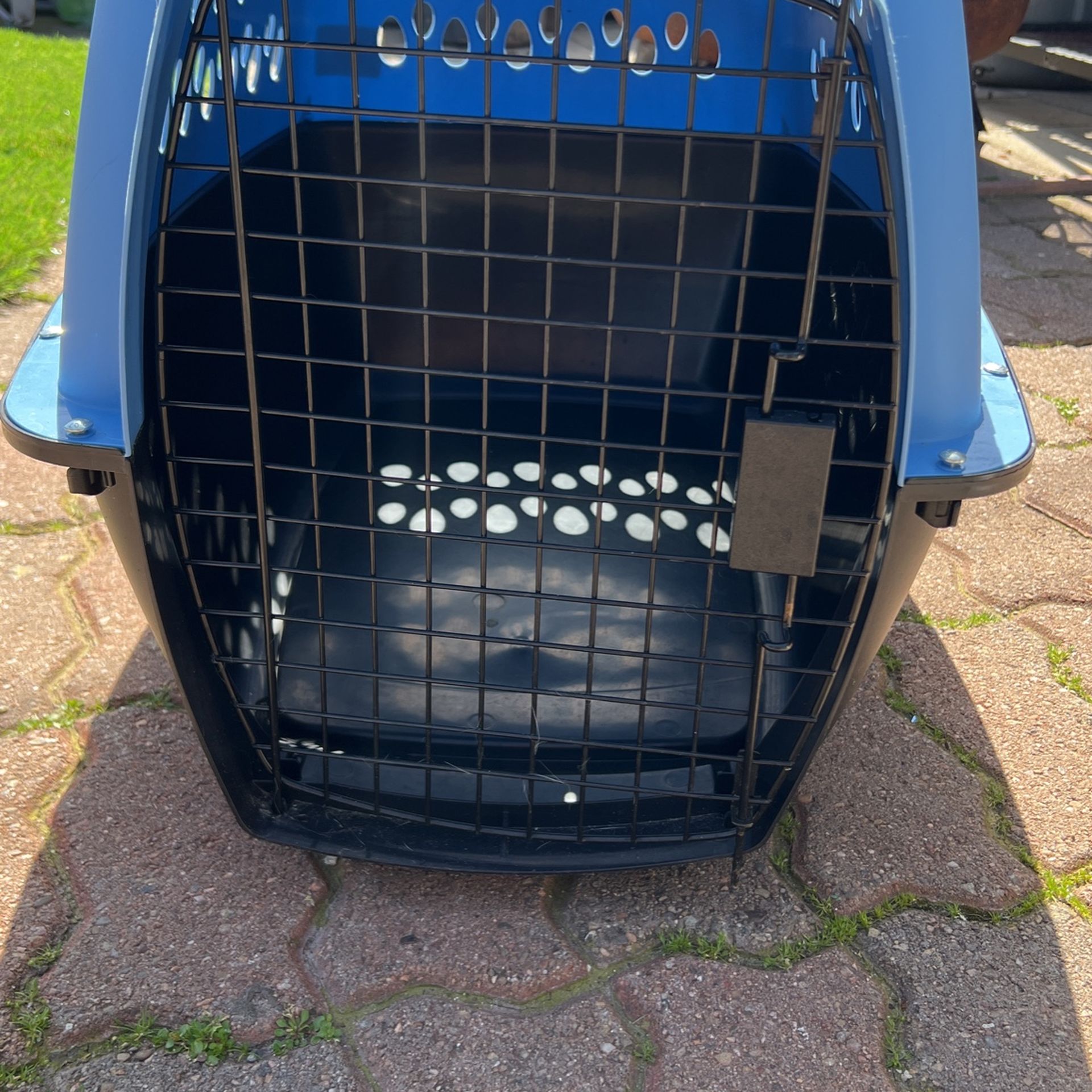 Cat & Dog Carrier