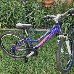SCHWINN 24"BICYCLE 