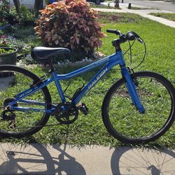 Raleigh Mountain Scout 7-Speed Kid's Bike