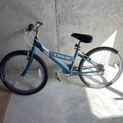 Trek Bike