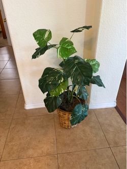 Large Decorative artificial plant