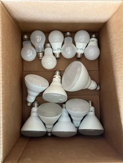 Light Bulbs