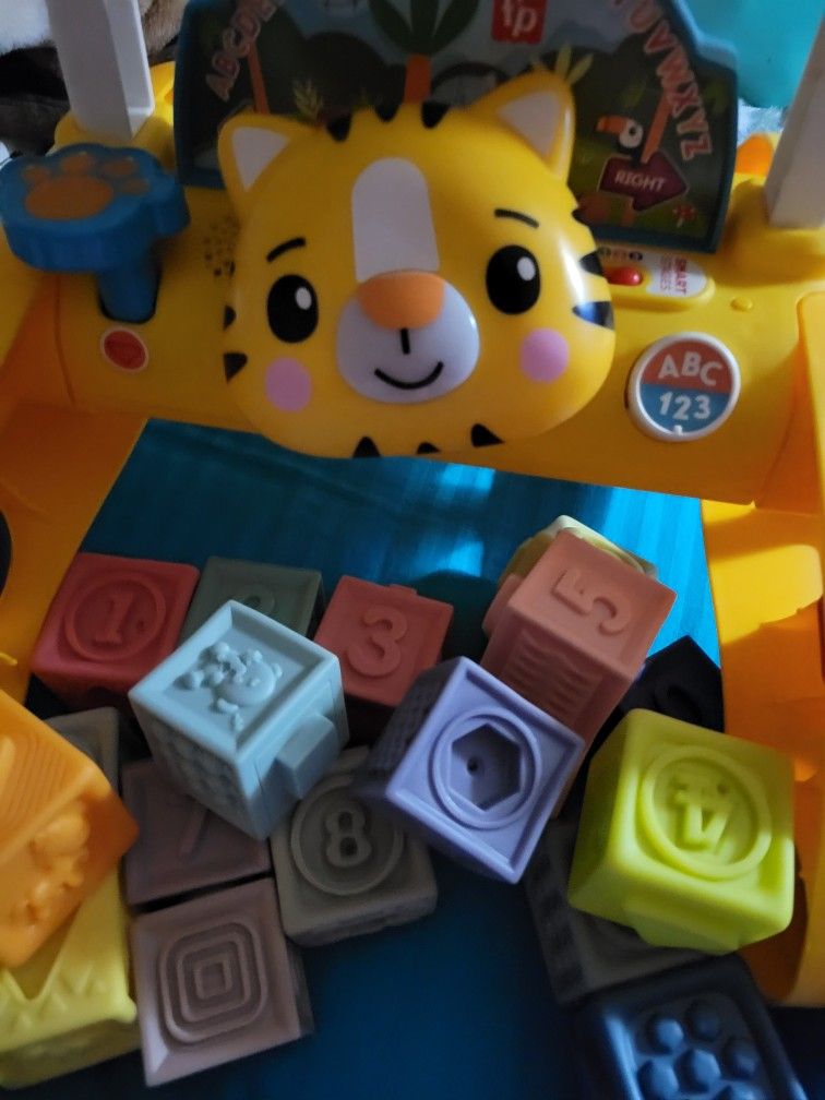 Fisher Price Walk And Learn With Rubber Blocks