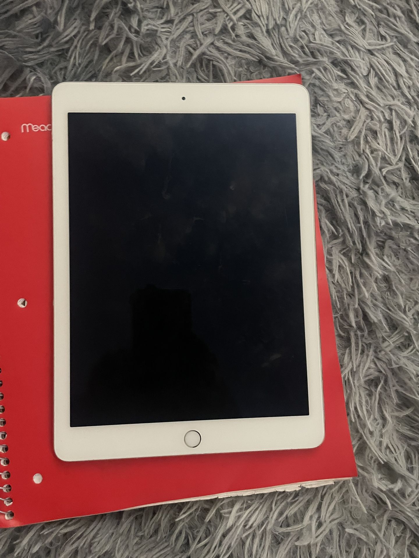iPad