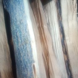 Bundles Of Seasoned Firewood