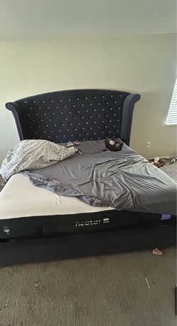 TUFTED Wingback headboard and bed frame