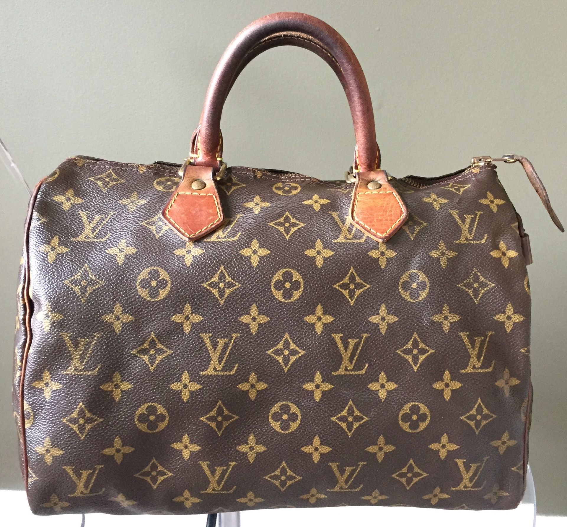 LV Speedy Bag