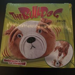 Interactive, Dog Toy