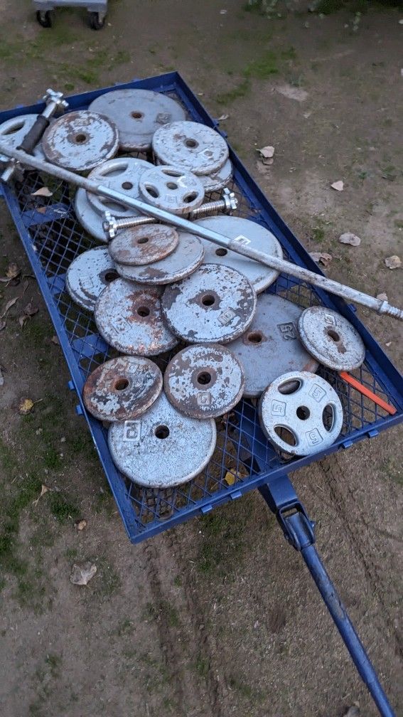 250lbs Steel Weights W/Lock Tight Bars.