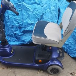 Electric Adult Scooter 