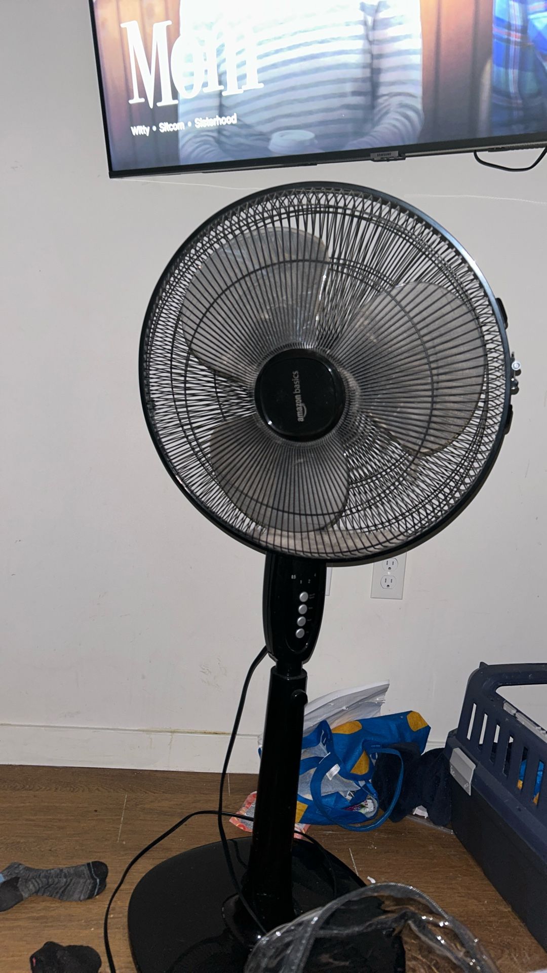 Fan
