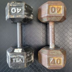 Dumbbells (40lbs Pair)