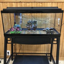 Full Aquarium Setup
