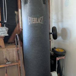 Boxing Punching Bag And Gloves 