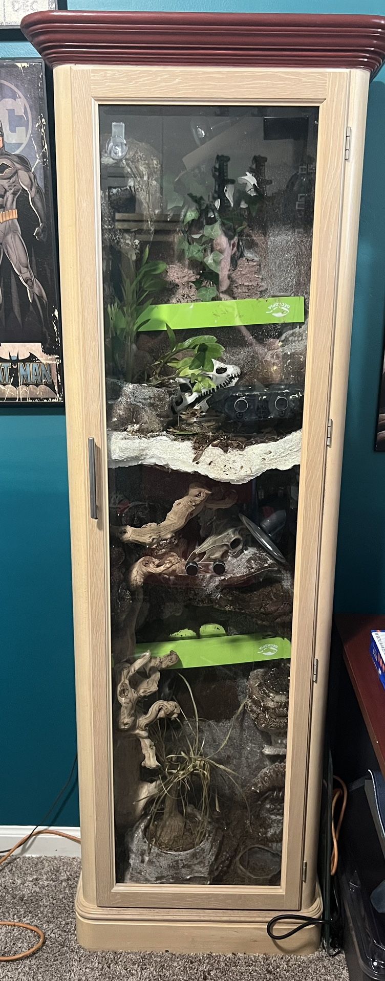 Reptile Terrarium