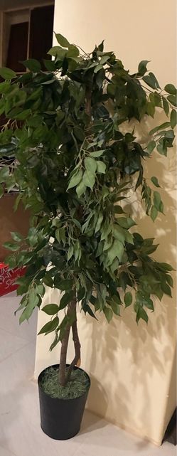 New Faux Ficus Tree need to spread out leaves was taken out the box