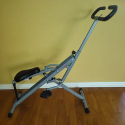 Sunny Health And Fitness Rowing  Squat Machine