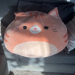 Giant Squishmallow Cat