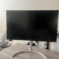 LG Computer Monitor 