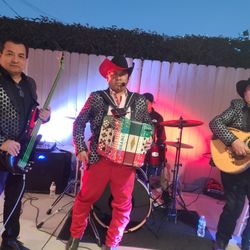 Norteño Accordion 🪗 Grupo