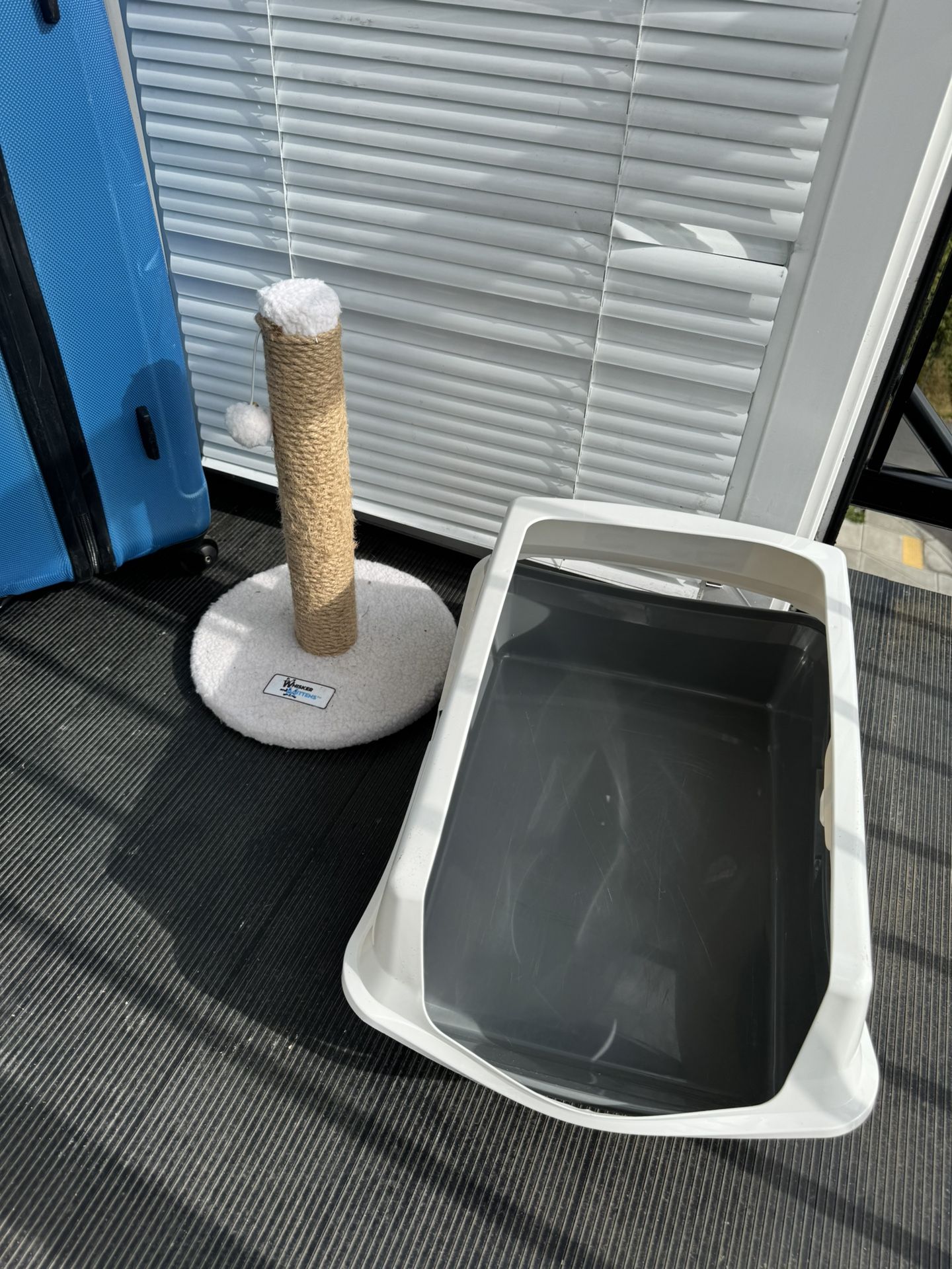 cat litter box and scratching post, all for $10!