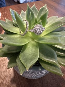 14k White Gold Rings