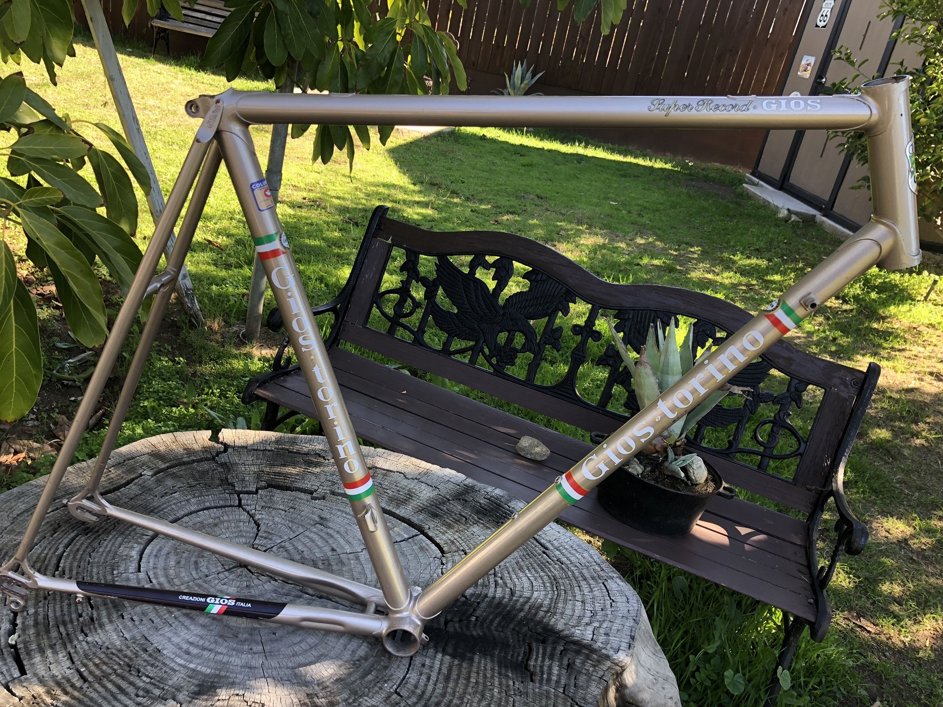 Gios Súper Record Frame 58cm for Sale in Montclair, CA OfferUp