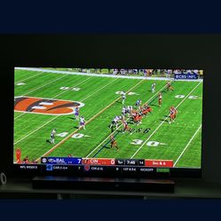 65 Inch OLED Lg Tv 