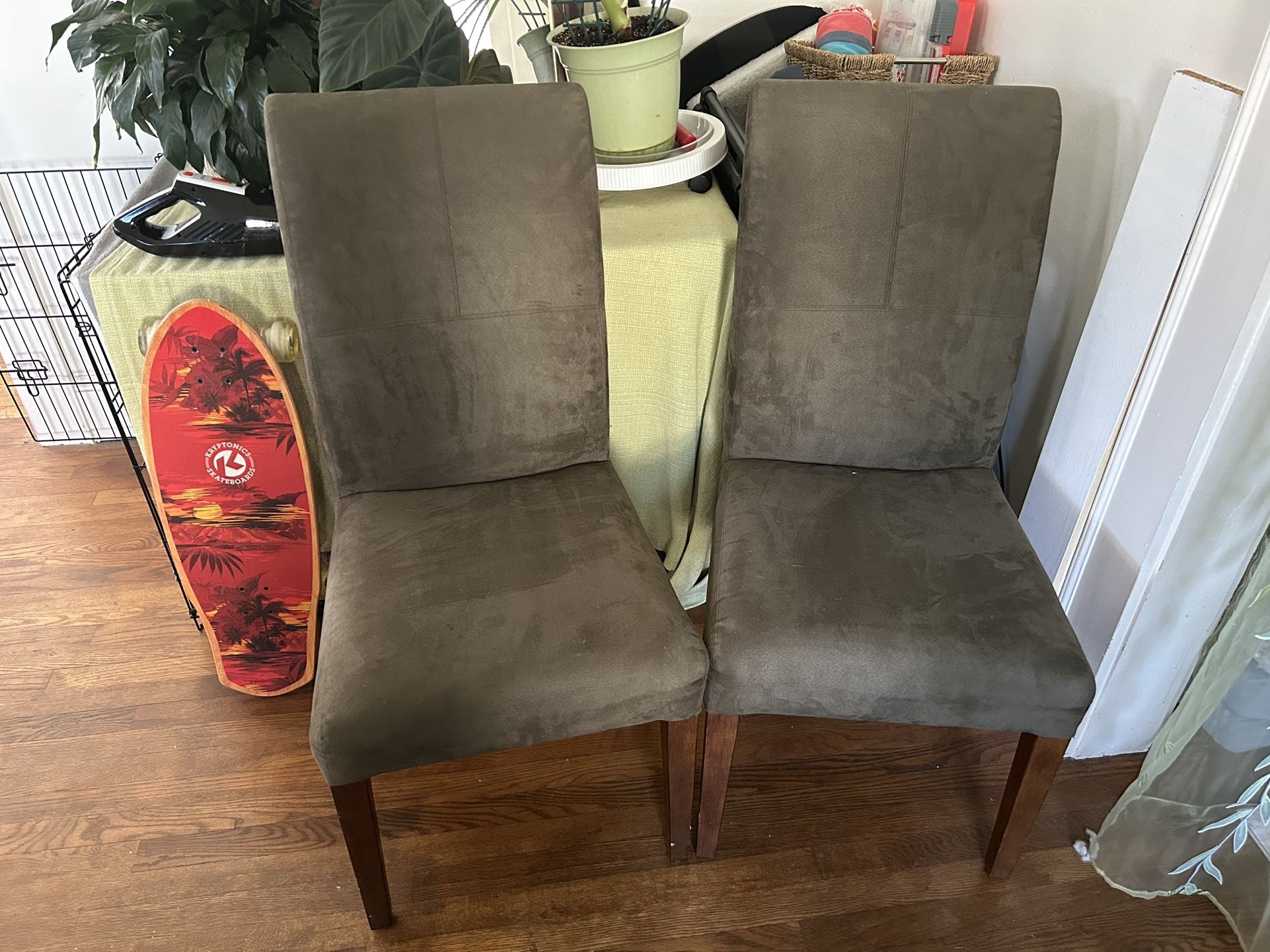 Olive Green chairs