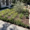 Trejo,s Landscaping 