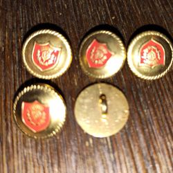 5 Vintage Shield Buttons 