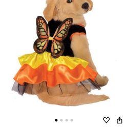 Butterfly Pet Costume
