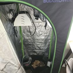 Indoor Plant Tent With Lot Of Equipments