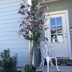 Nice Tree Roses Flower 