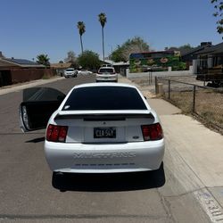 2004 Mustang 