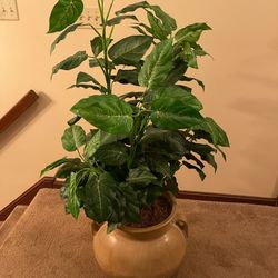 Faux Plant 🪴 in Dual Handle Planter