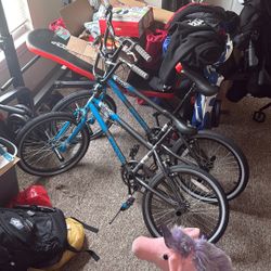 “20 Tire Mongoose Bike (2 Available)