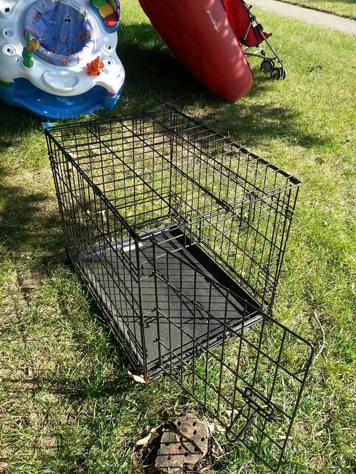 Medium fold up pet cage with removable tray great shape only $50 firm