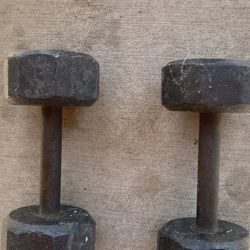 10 Pound Dumbbell Pair