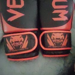 Venum Boxing Gloves