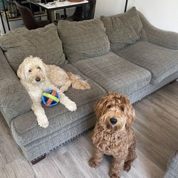 Couch