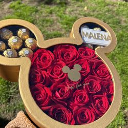 Mickey Mouse