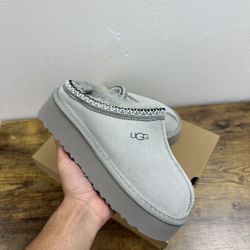 UGG Tazz Slipper Seal