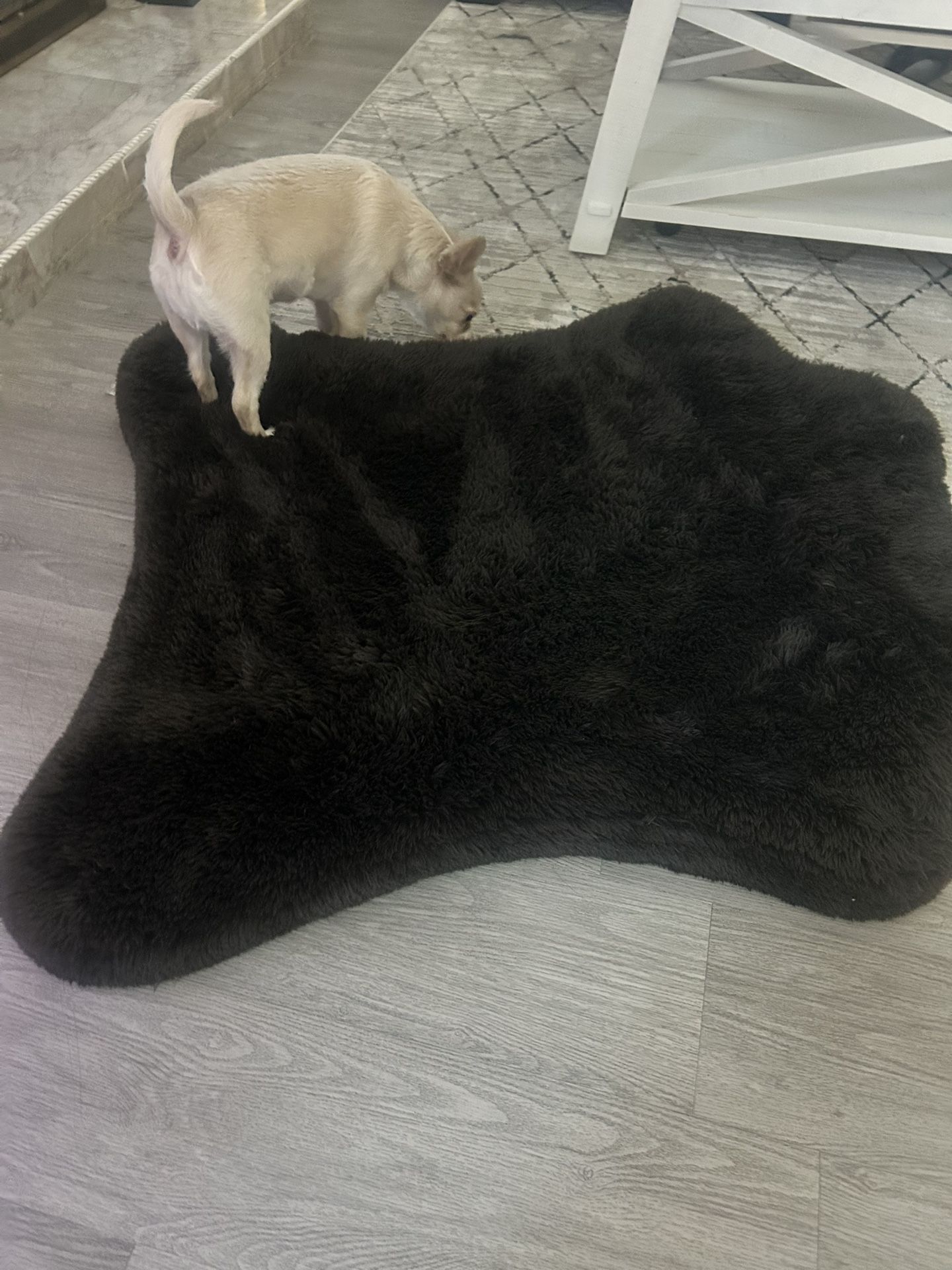 Dog Bed 