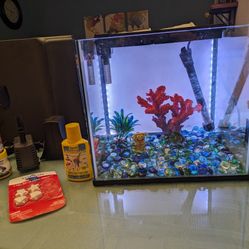 5 Gallon Aquarium & Accessories!